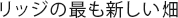 リッジの最も新しい畑